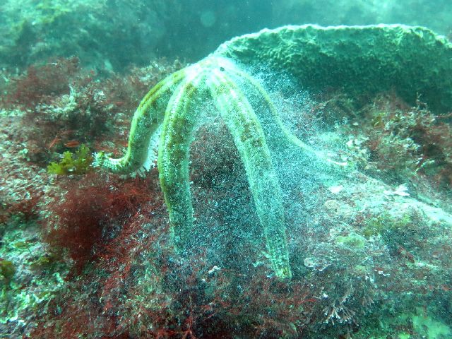 �ɓ������ʐ^