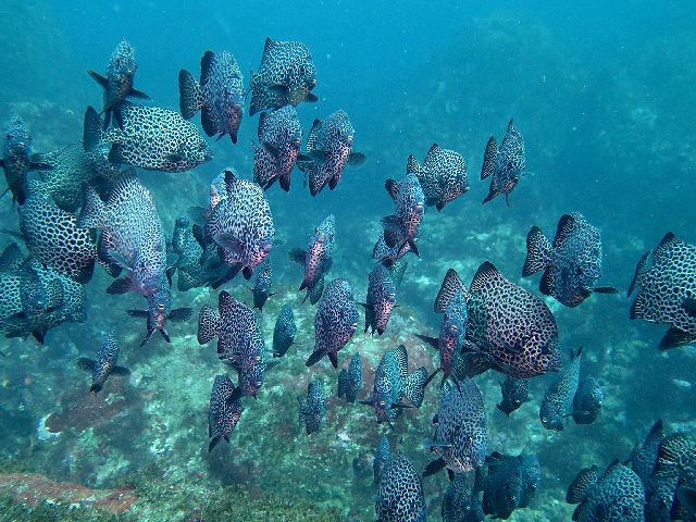 �ɓ������ʐ^