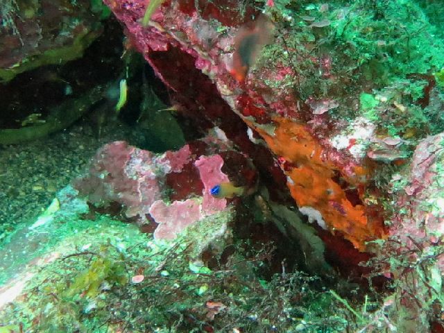 �ɓ������ʐ^