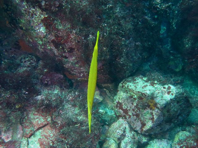 �ɓ������ʐ^