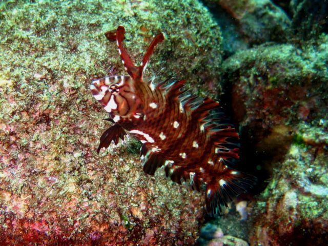 �ɓ������ʐ^