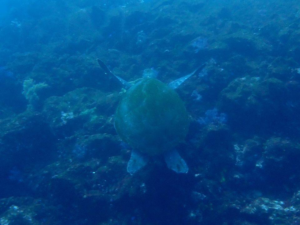 �ɓ��C�m����