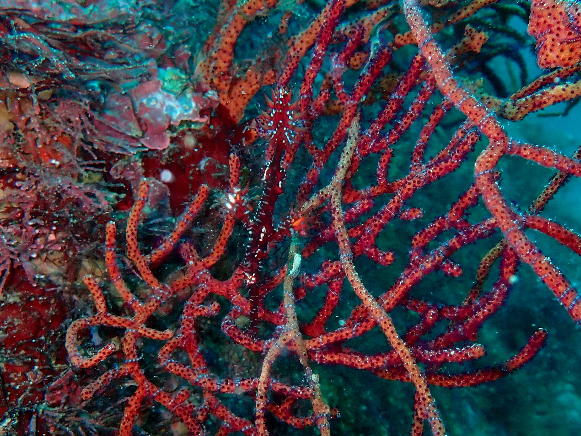 �ɓ��E������