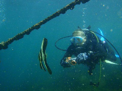 �ɓ������ʐ^�@�N���b�N�ő傫���Ȃ�܂�