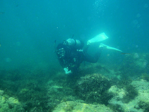 �ɓ������ʐ^�@�N���b�N�ő傫���Ȃ�܂�