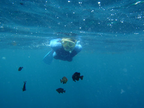 �ɓ������ʐ^�@�N���b�N�ő傫���Ȃ�܂�