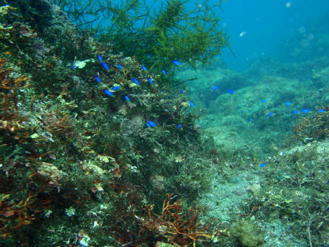 �ɓ������ʐ^�@�N���b�N�ő傫���Ȃ�܂�