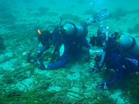 �ɓ������ʐ^�@�N���b�N�ő傫���Ȃ�܂�