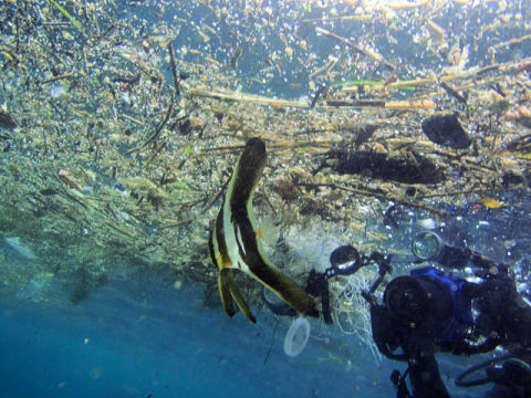 �ɓ������ʐ^�@�N���b�N�ő傫���Ȃ�܂�