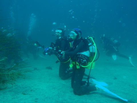 �ɓ������ʐ^�@�N���b�N�ő傫���Ȃ�܂�