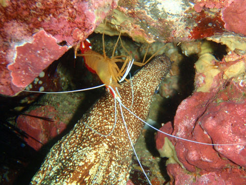 �ɓ������ʐ^�@�N���b�N�ő傫���Ȃ�܂�