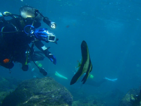 �ɓ������ʐ^�@�N���b�N�ő傫���Ȃ�܂�