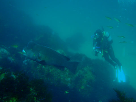 �ɓ������ʐ^�@�N���b�N�ő傫���Ȃ�܂�