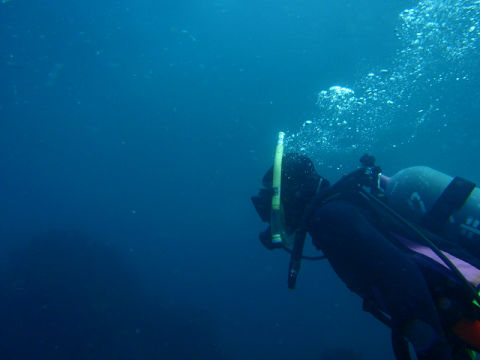 �ɓ������ʐ^�@�N���b�N�ő傫���Ȃ�܂�