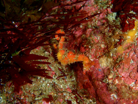 �ɓ������ʐ^�@�N���b�N�ő傫���Ȃ�܂�