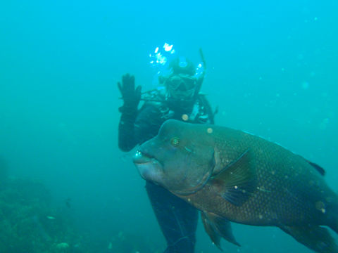 �ɓ������ʐ^�@�N���b�N�ő傫���Ȃ�܂�