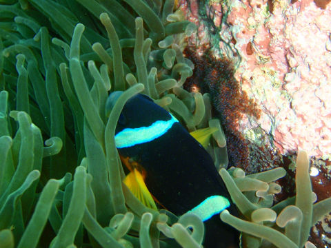 �ɓ������ʐ^�@�N���b�N�ő傫���Ȃ�܂�