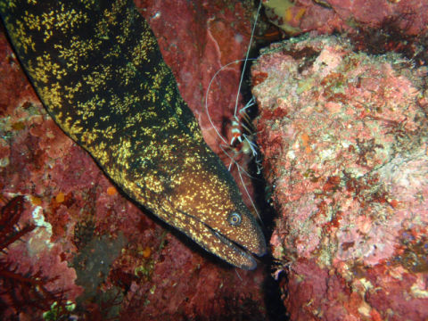 �ɓ������ʐ^�@�N���b�N�ő傫���Ȃ�܂�