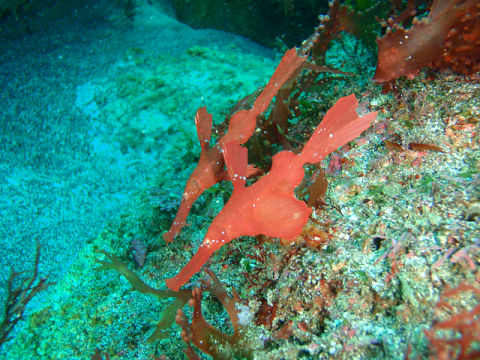 �ɓ������ʐ^�@�N���b�N�ő傫���Ȃ�܂�