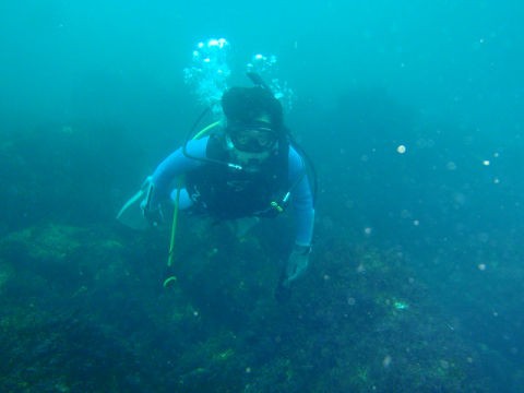 �ɓ������ʐ^�@�N���b�N�ő傫���Ȃ�܂�