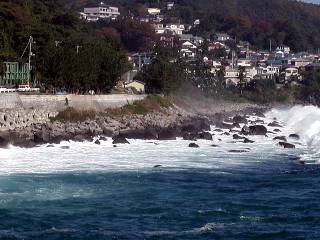 ���̍��g�킩��܂��H