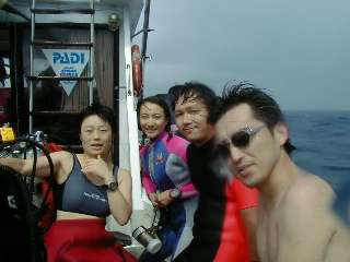 �c�A�[���i