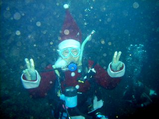 �c�A�[���i