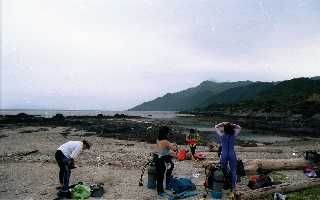 �I���̕l�ŏ�����