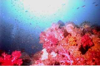 ���X����̏���i