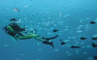 �X�Y���_�C