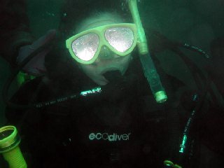  �e�r����̎ʐ^