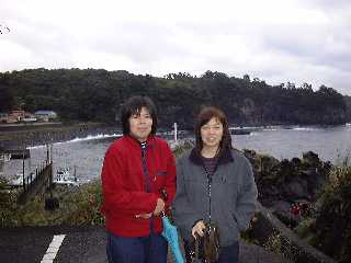 �c�A�[���i