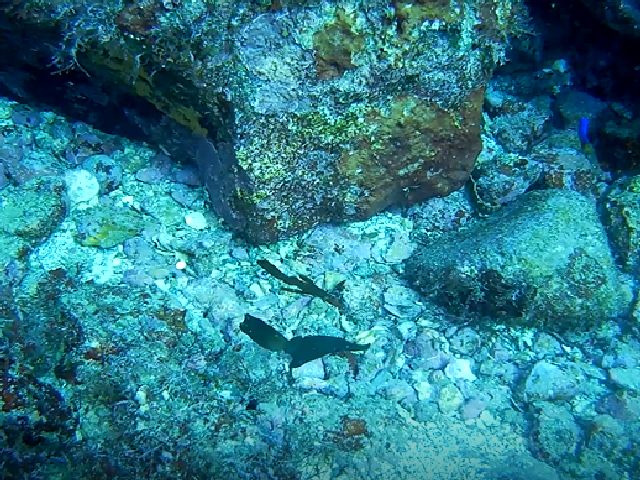 �ɓ������ʐ^�@